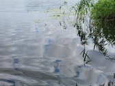 Visagino sav., Magūnų k. Paežerės g.
