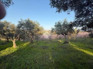 Guidonia Montecelio,  IT