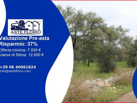 Palo del Colle,  IT