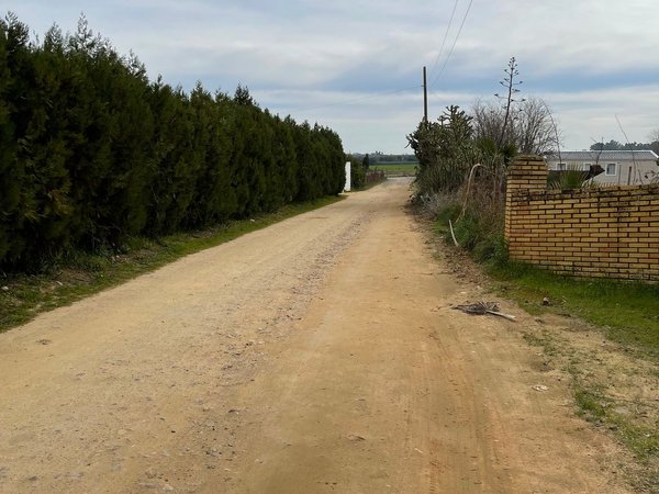 Carmona,  ES
