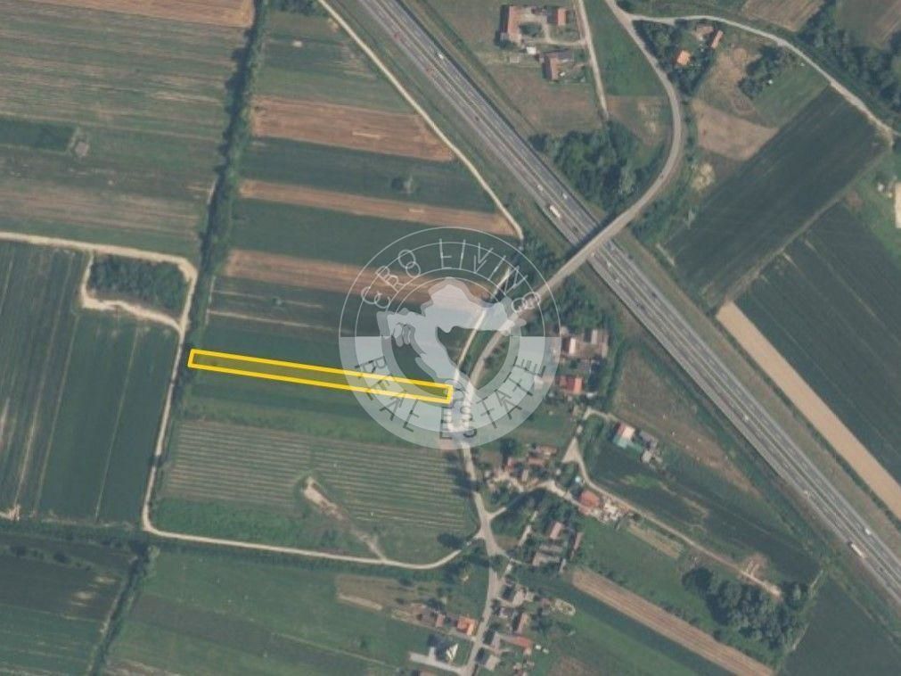 Velika Ludina, Vezisce