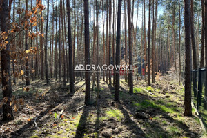 Józefów