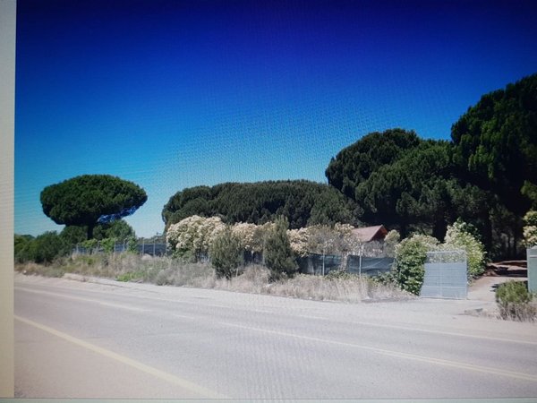 Aldeamayor de San Martin,  ES