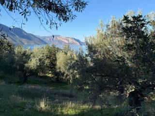 Leonidio,  GR