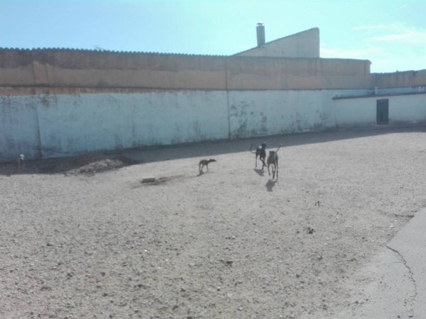 Valdestillas,  ES
