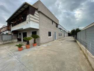 Ladispoli,  IT