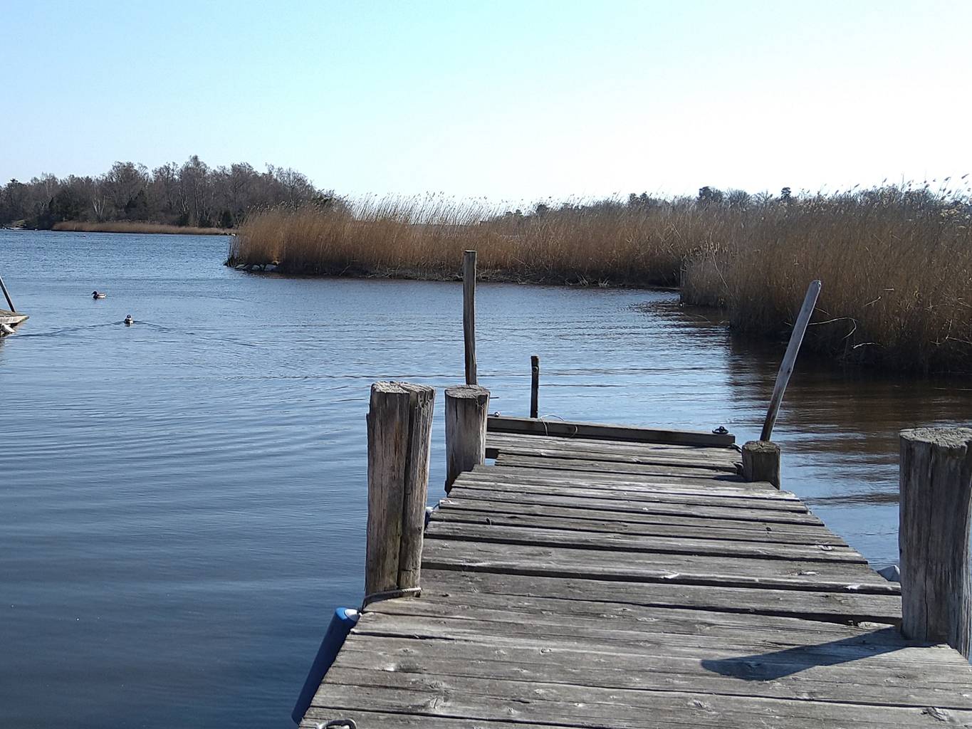 Mjövikstrand, Karlskrona kommun