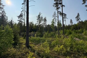 Velskolantie 104, Kunnarla, Espoo