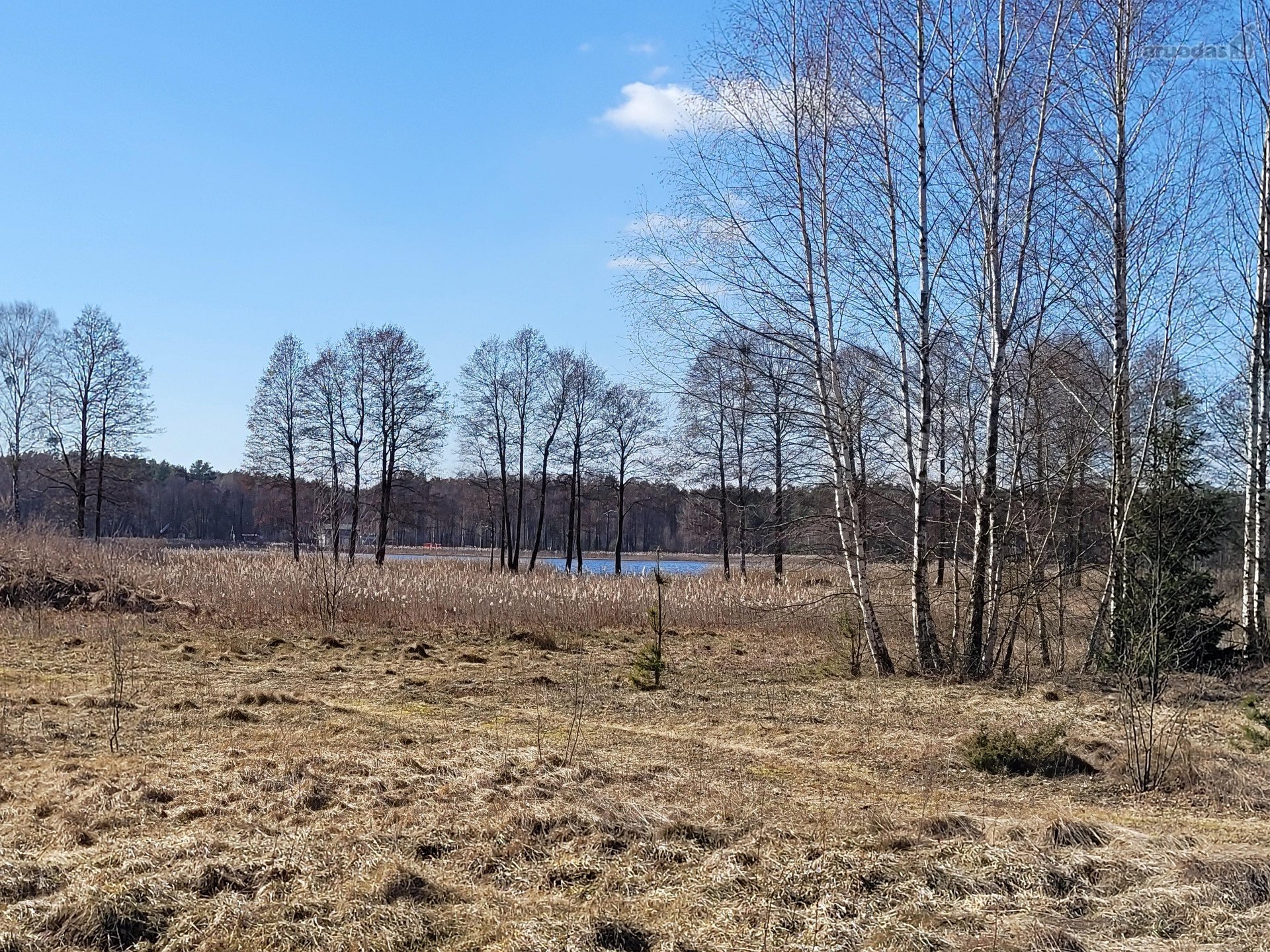 Druskininkų sav., Grūto k. Pakrantės g.