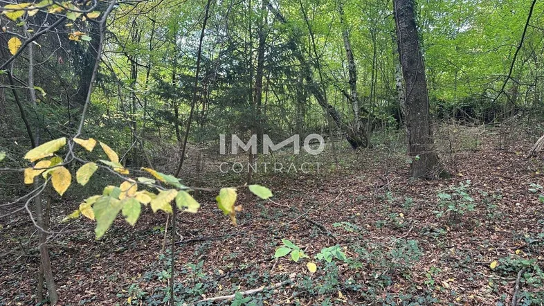 3021 Pressbaum