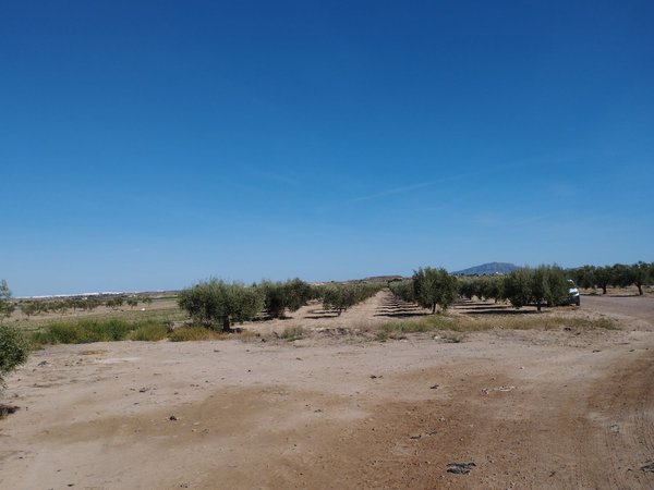 Totana,  ES