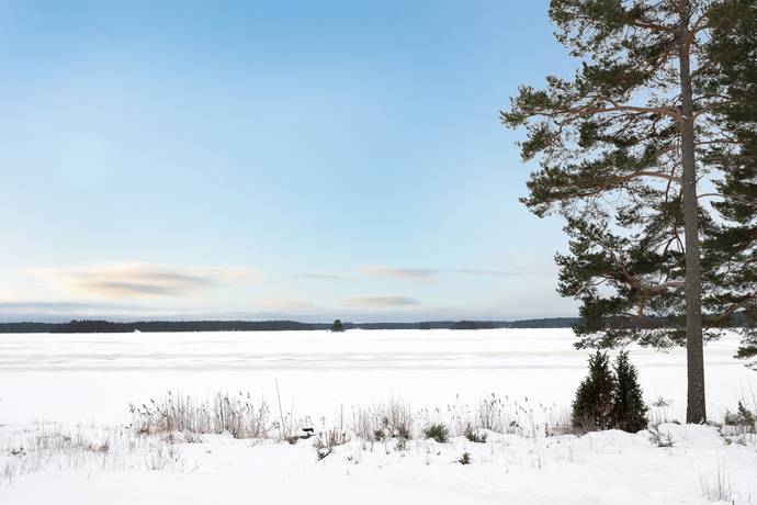 Hedesunda, Gävle kommun