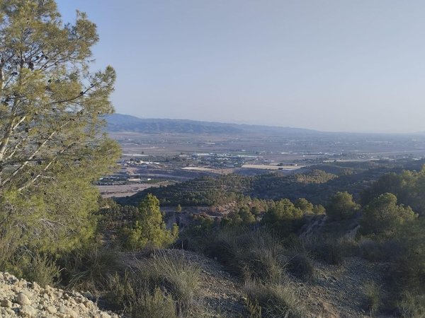 Totana,  ES