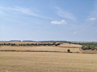 Valdemoro,  ES