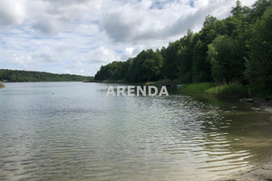 Nekla