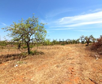Ferreiras,  PT