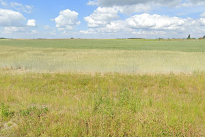 Nidzica