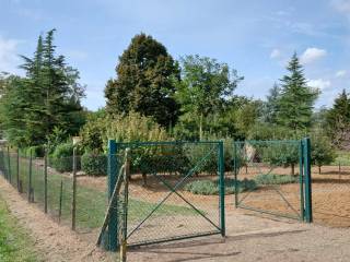 Valenza,  IT
