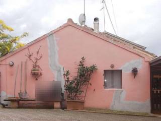 Senigallia,  IT