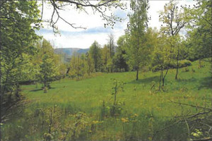 Szklarska Poręba