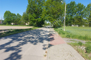 Aleksandrów