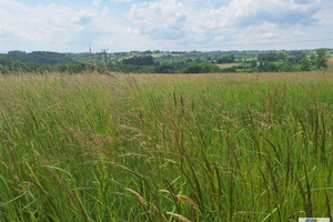 Wielka Wieś
