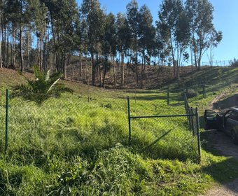 Sobreira,  PT