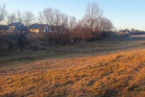 Michałowice
