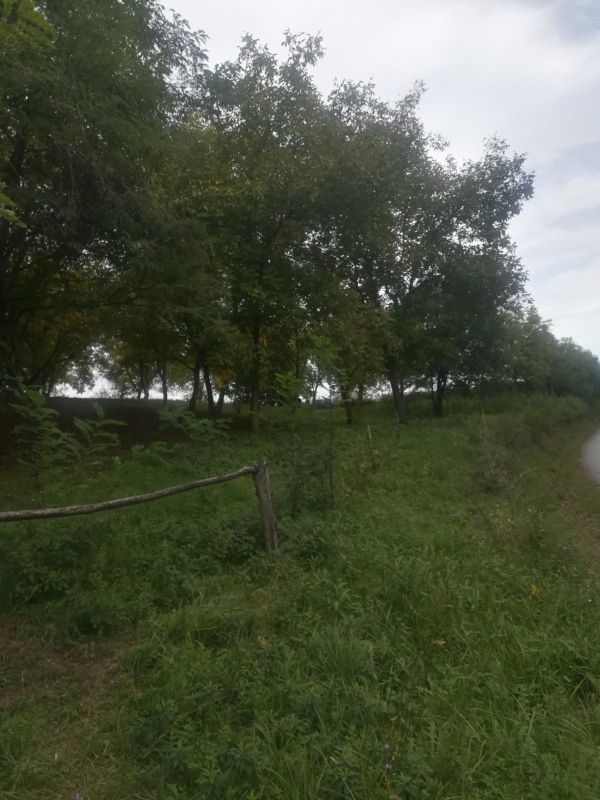 Sandrovac, Sandrovac center
