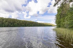 Sininentie 397, Jurvansalo, Viitasaari