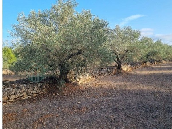 Castro del Río,  ES