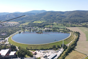 Bielawa