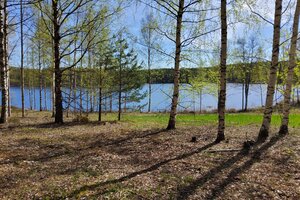Petäjänniementie, Sopala, Puumala