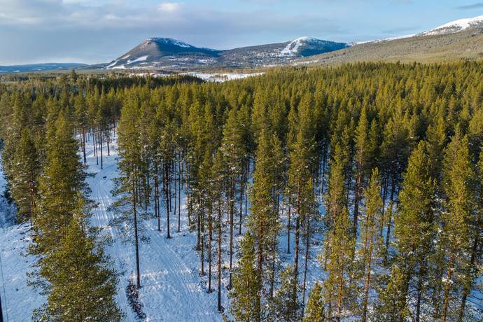 Vemhån, Härjedalens kommun