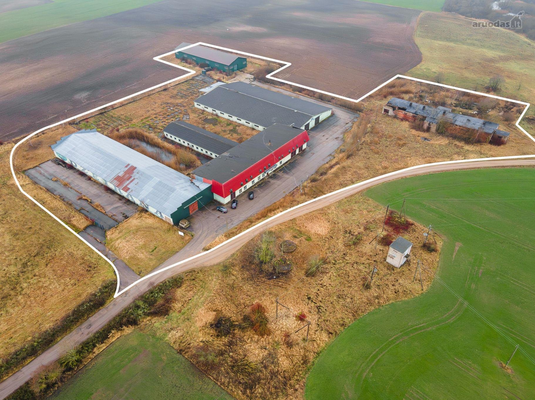 Raseinių r. sav., Verėduvos k. Savanorių g.