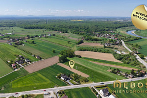 Niepołomice