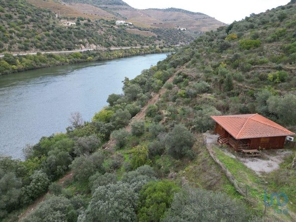 Ervedosa do Douro,  PT