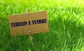 à Chaumes-en-Brie (77390)