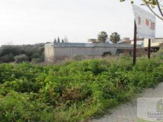 Niebla,  ES