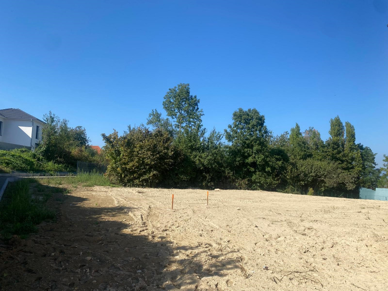 à Riedisheim (68400)