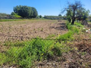 Talavera de la Reina,  ES
