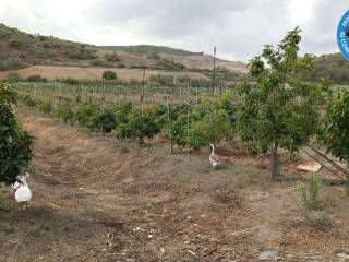Paterna de Rivera,  ES
