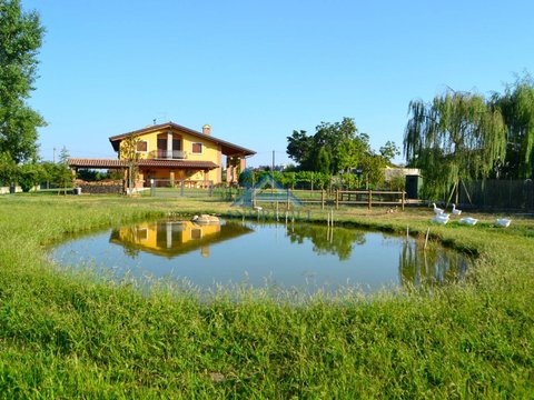 Pescantina,  IT