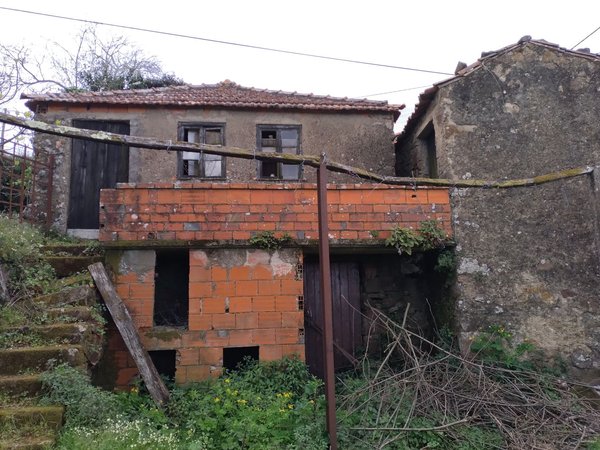 Miranda do Corvo,  PT