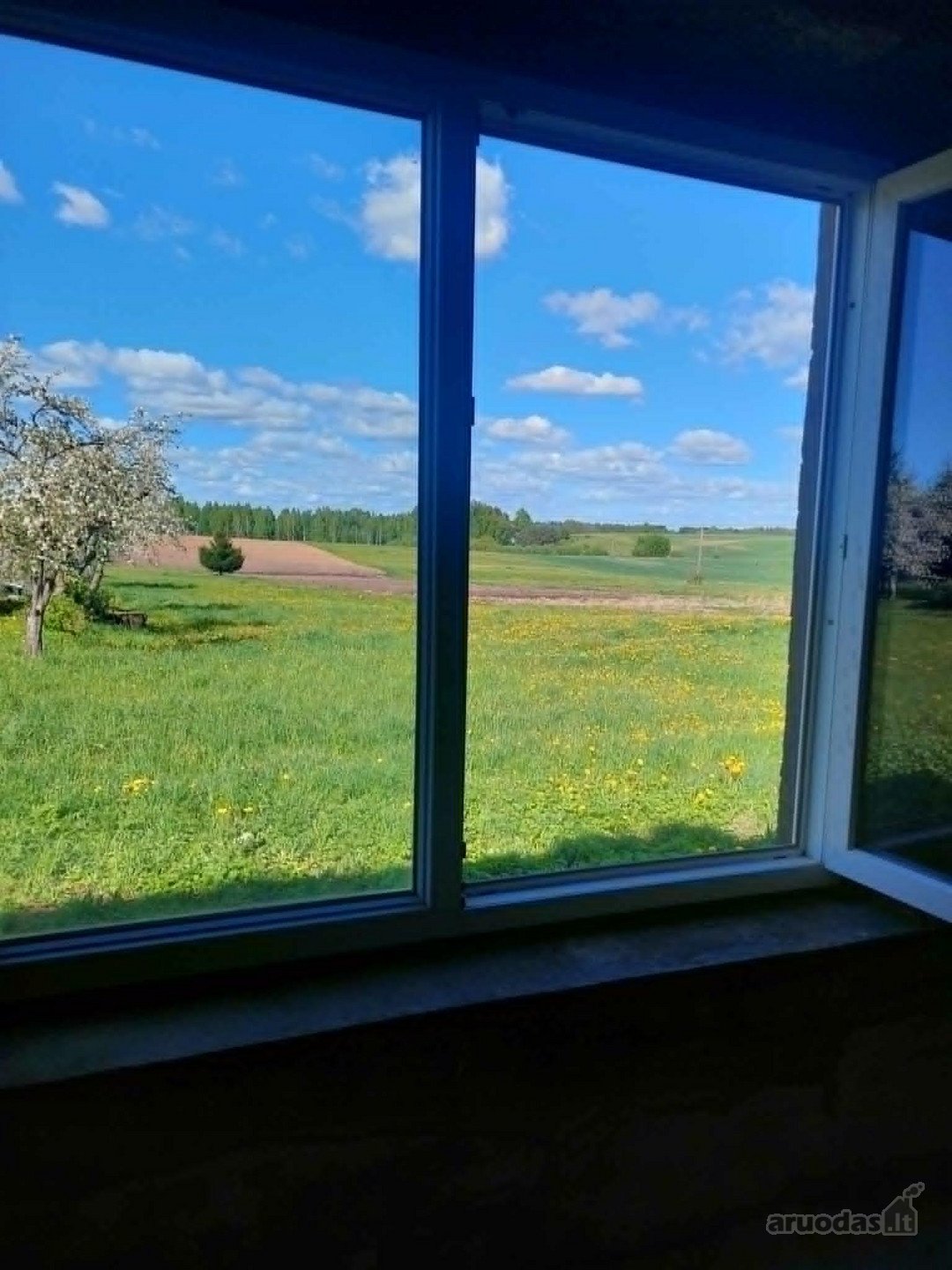 Anykščių r. sav., Pašilių k. Luknos g.