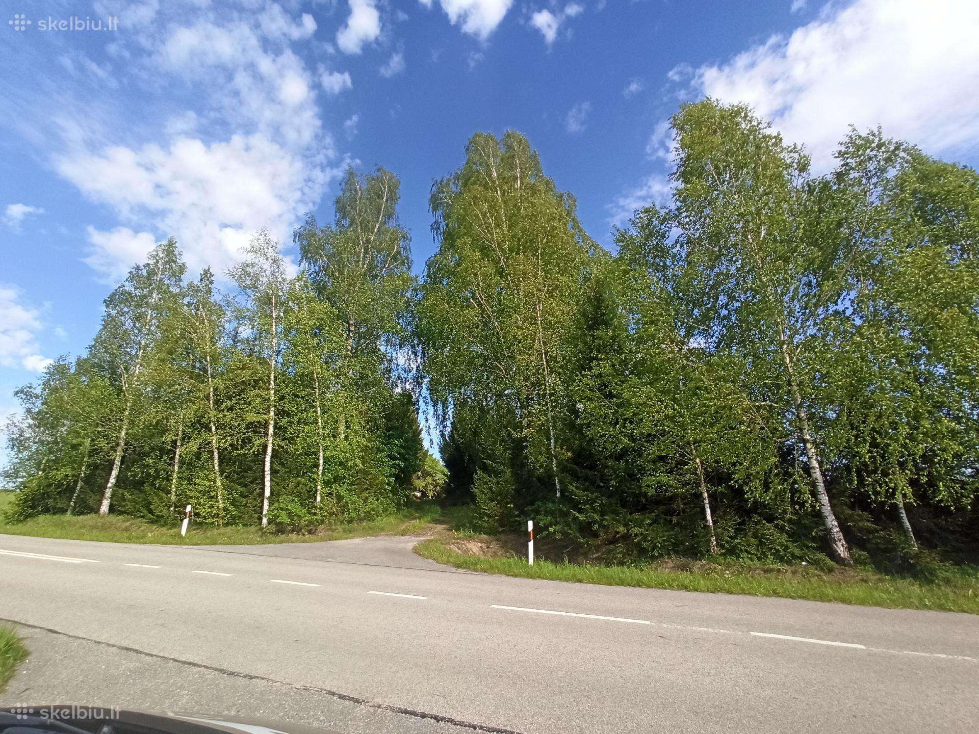 Vilkaviškio r. sav., Dabravolės k. Jevonio g.