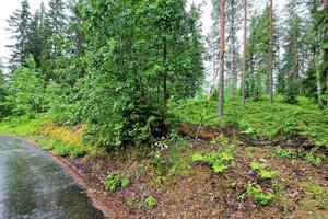 Rastaantie 12, 16800 Hämeenkoski