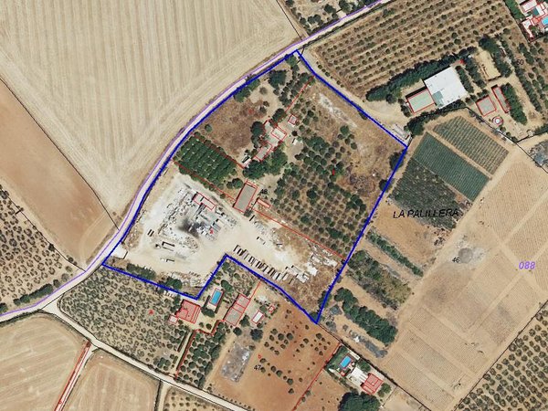Carmona,  ES