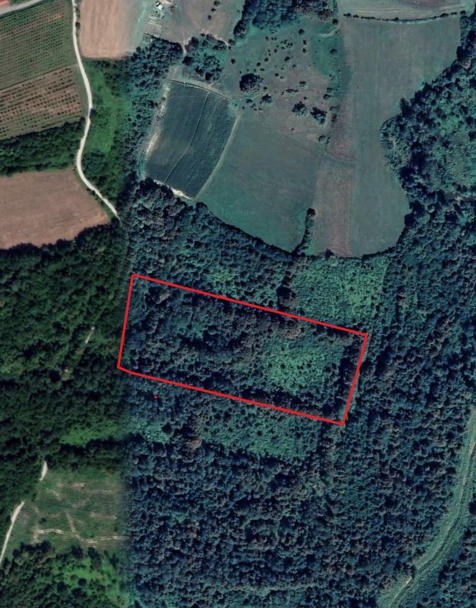 Hrvatska Kostajnica, Hrvatska Kostajnica center