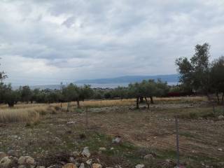 Agioi Theodoroi,  GR
